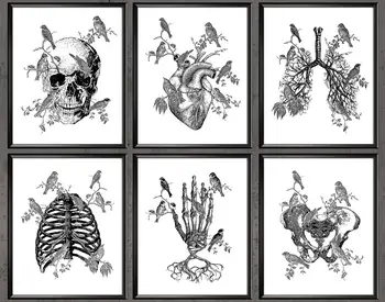 Ľudské Telo Anatomické Srdce Bronchiálna Strom Hrudníku Panvy Gotické Umenie Klinike Dekor Tetovanie Nápad, Dekoratívne Steny Umelecké Plátno Plagát