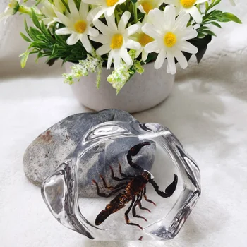 Umelé amber ornament živice hmyzu vzor scorpion wasp crystal chryzantéma umelé crystal kreatívne domáce tabuľka