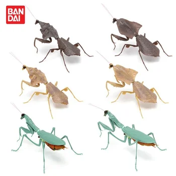 Bandai Skutočné Gashapon Kapsule Hračky Biologické Big Picture Book Series Mantis 02 Simulácie Veľkého Hmyzu Modelu Deti Hračky